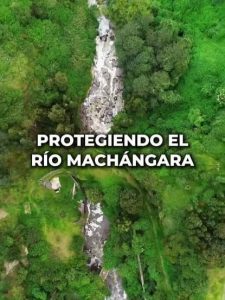 inicio2